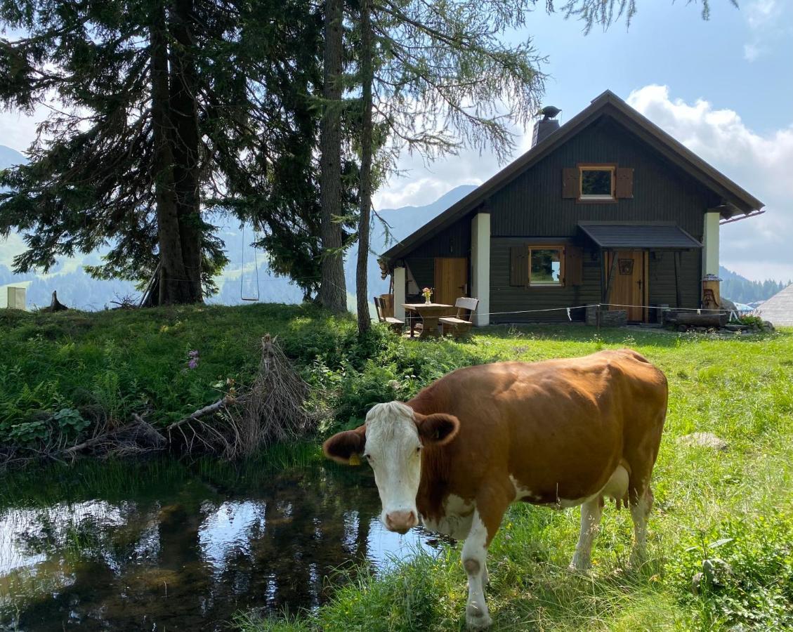 Gemuetliche Huette In Den Bergen Villa Sonnenalpe Nassfeld Dış mekan fotoğraf