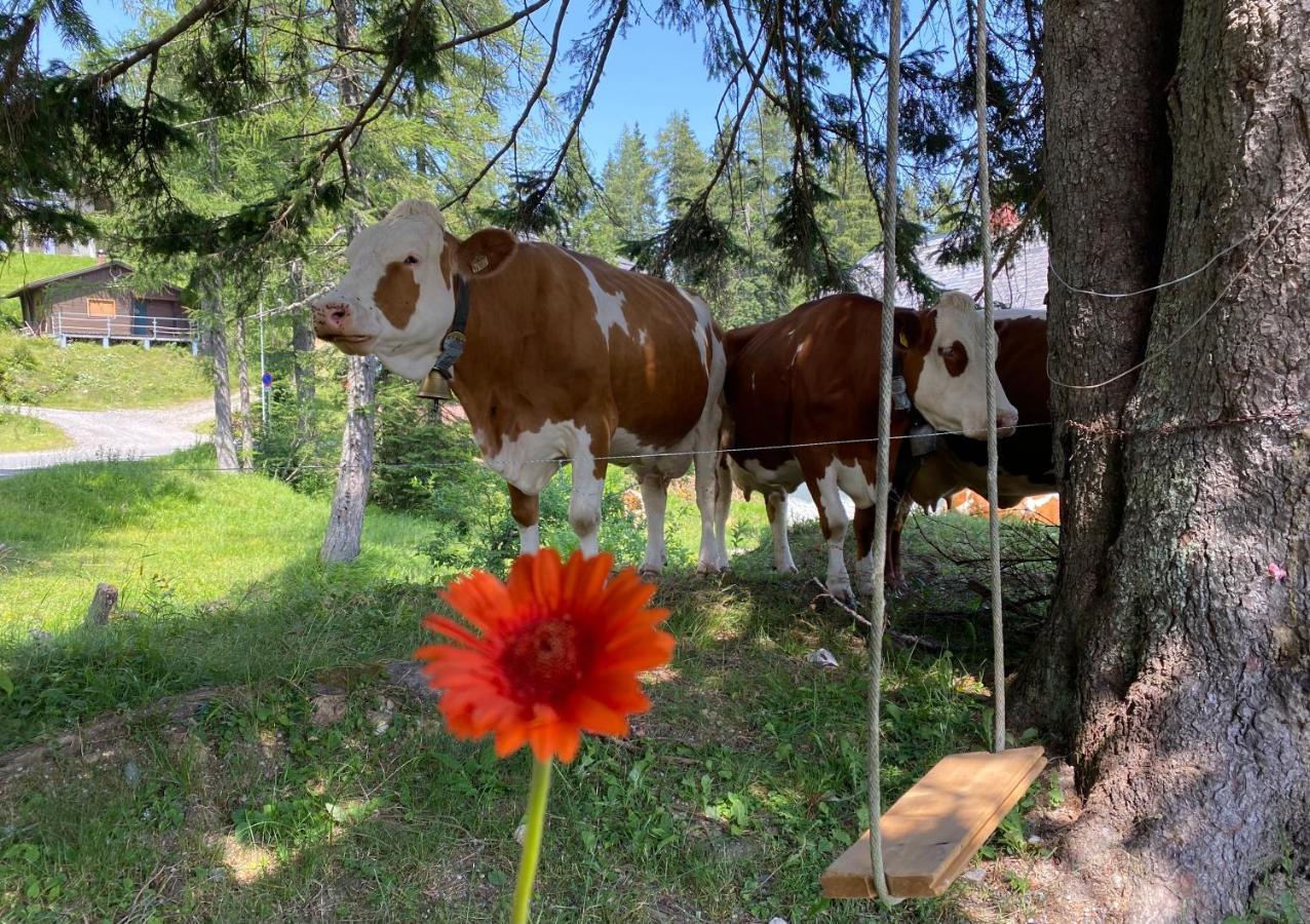 Gemuetliche Huette In Den Bergen Villa Sonnenalpe Nassfeld Dış mekan fotoğraf
