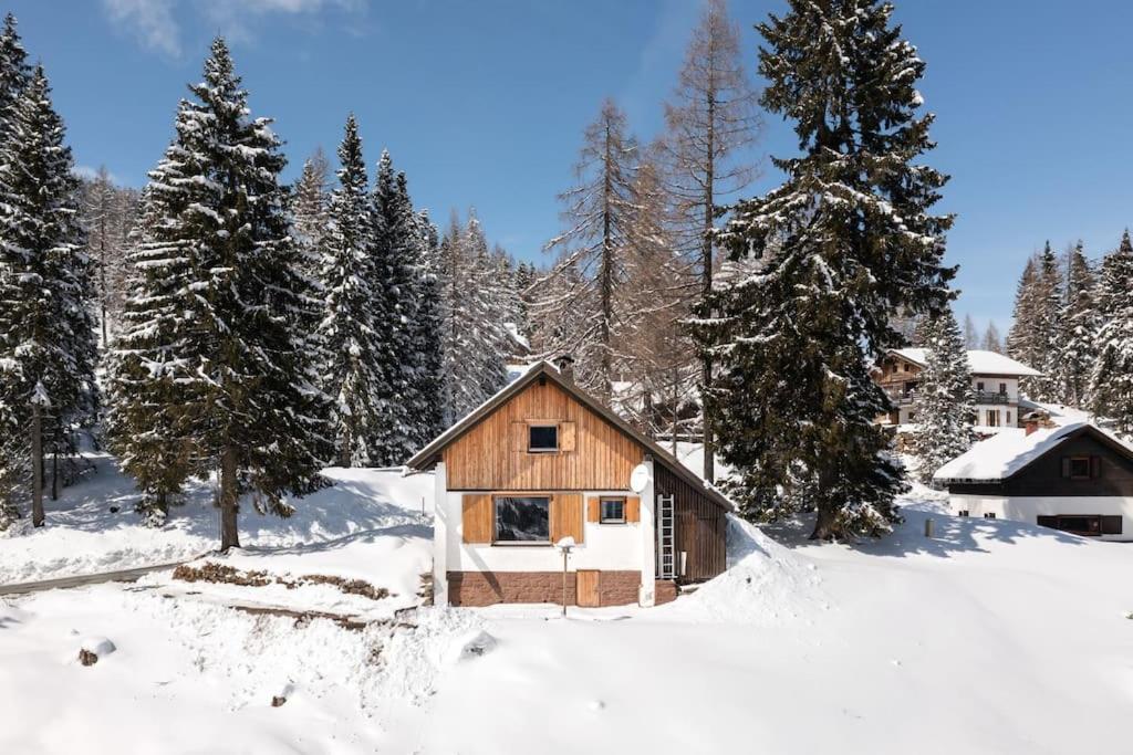 Gemuetliche Huette In Den Bergen Villa Sonnenalpe Nassfeld Dış mekan fotoğraf
