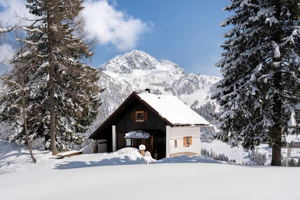 Gemuetliche Huette In Den Bergen Villa Sonnenalpe Nassfeld Dış mekan fotoğraf