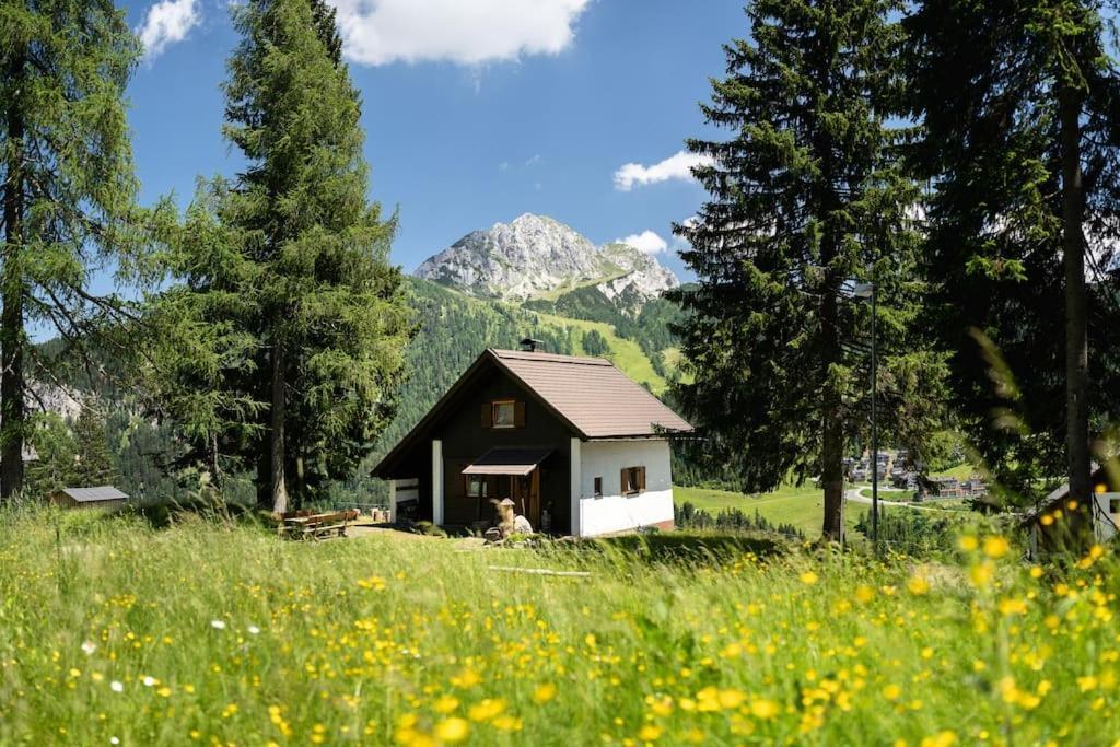 Gemuetliche Huette In Den Bergen Villa Sonnenalpe Nassfeld Dış mekan fotoğraf
