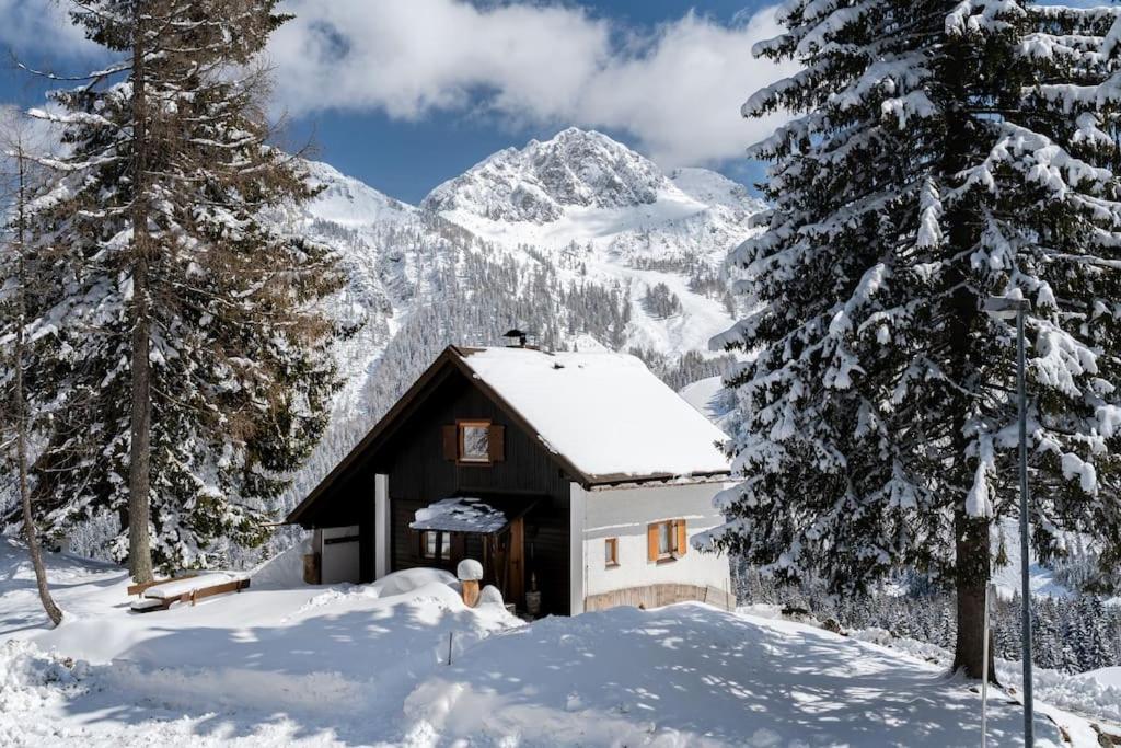 Gemuetliche Huette In Den Bergen Villa Sonnenalpe Nassfeld Dış mekan fotoğraf